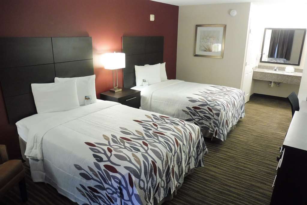 Red Roof Inn דהפוניאק ספרינגס חדר תמונה